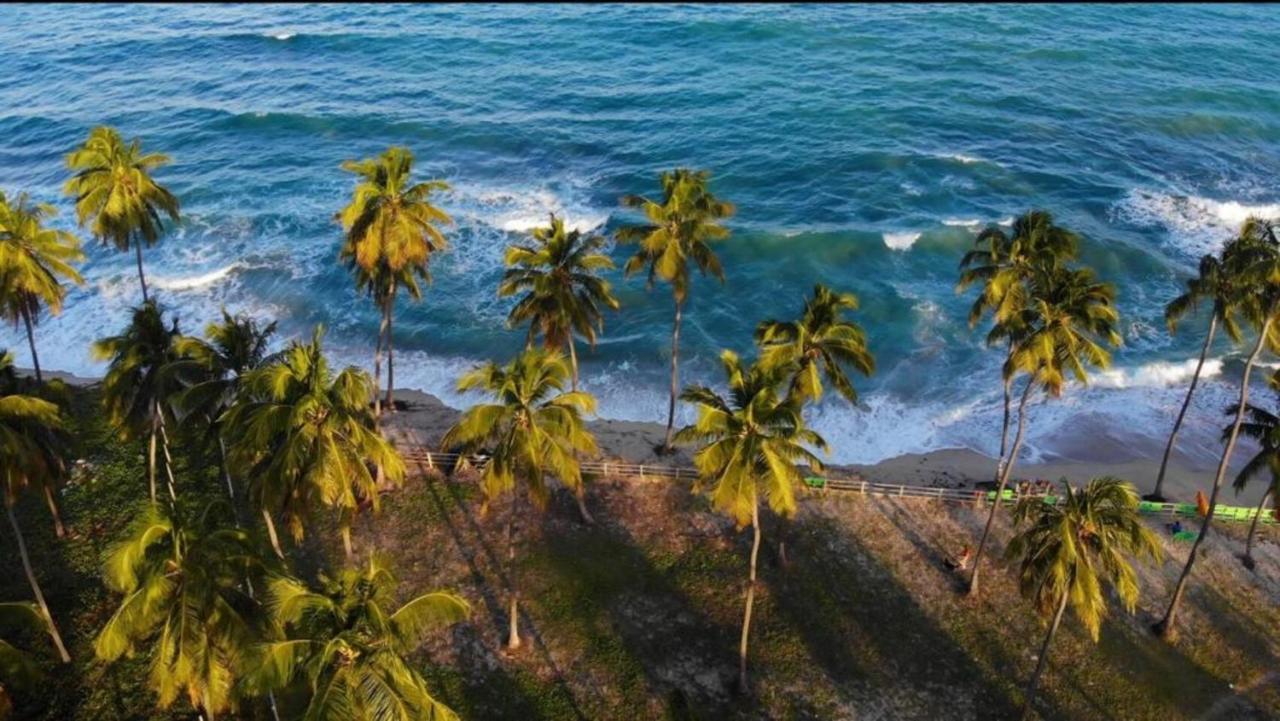Bangalo Luxo Beira Mar Carneiros Beach Resort プライア・ドス・カルネイロス エクステリア 写真
